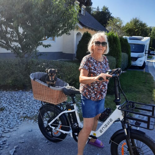 Customer photo review of Engwe L20 SE 250W 20" Foldable Electric Trekking Bike 15.6Ah Step-through E-bike