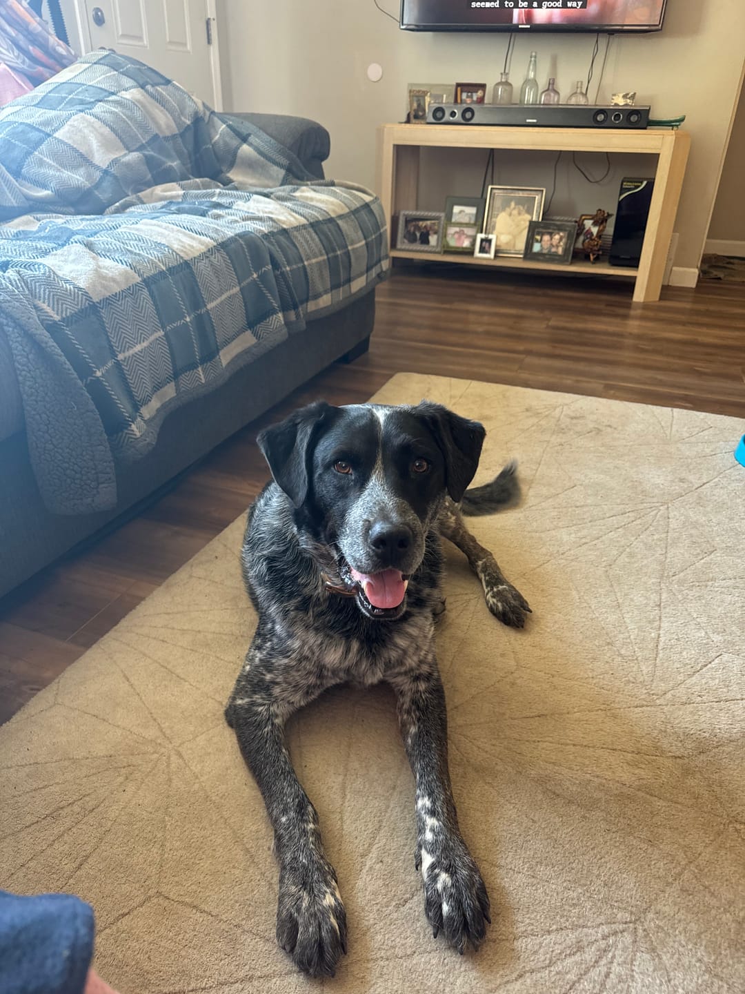 Customer photo review of Activity & Recovery