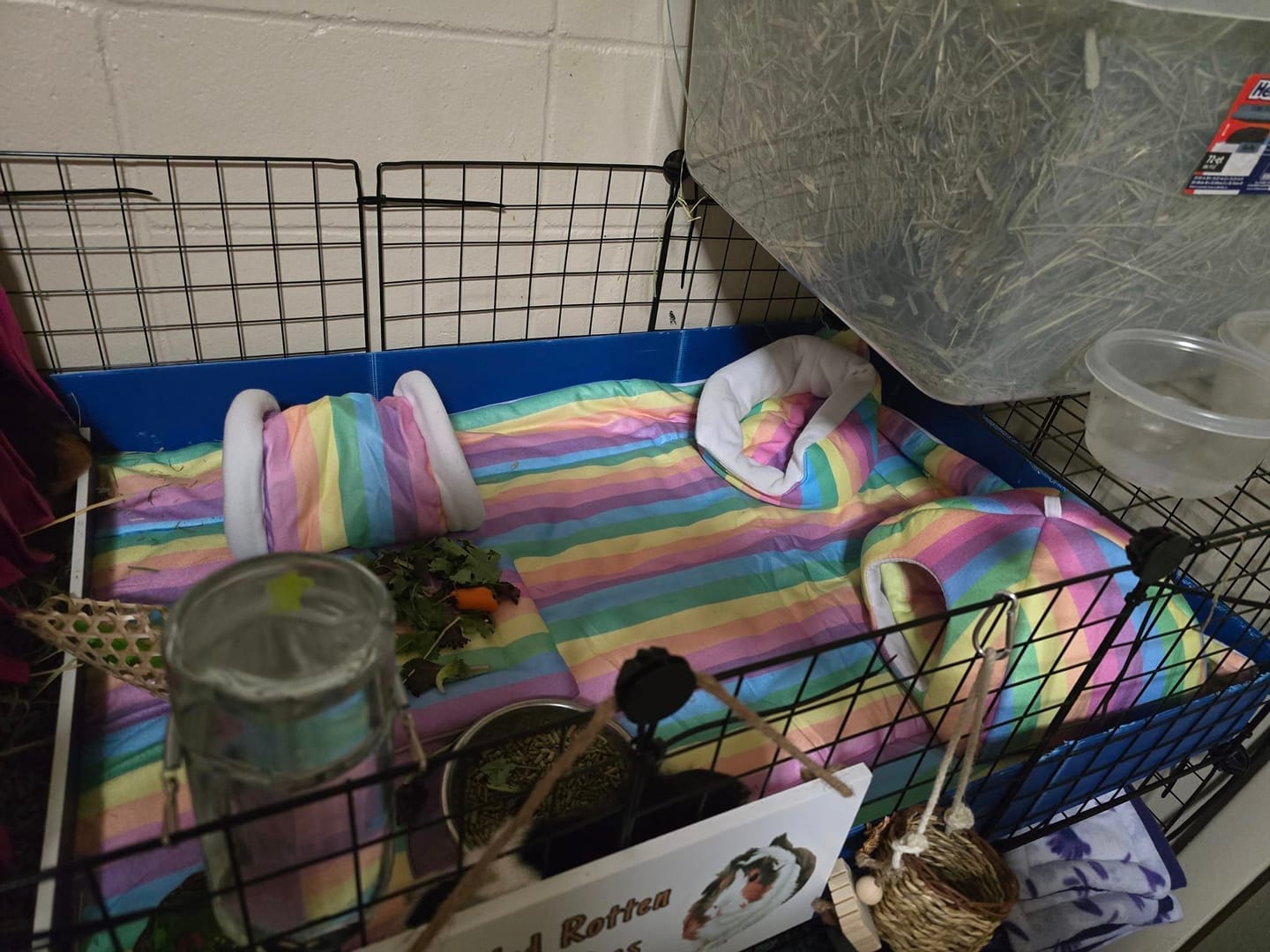 Customer photo review of Homely Fleece Hidey | Radiant Rainbow