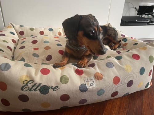 Customer photo review of Divanetto Graphic Confetti Dots