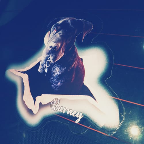 Customer photo review of Personalized Pet lover Crack Car Sticker