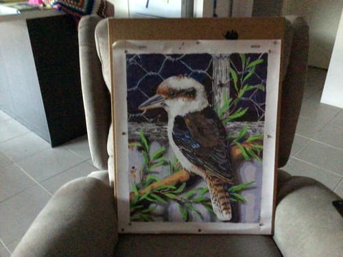 Customer photo review of Kookaburra & Tin