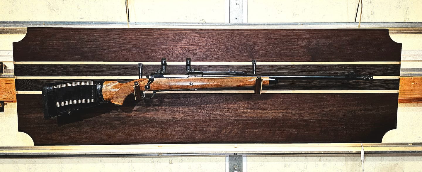 Customer photo review of Gun Hooks