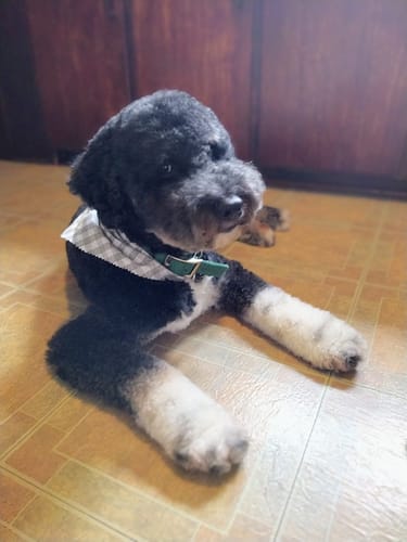 Customer photo review of 11x14 Giclee Fine Art Prints