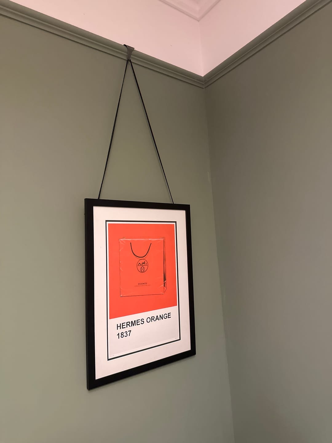 Customer photo review of Victorian Picture Rail Hooks