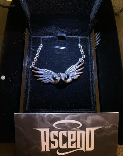 Customer photo review of Ascendant Necklace