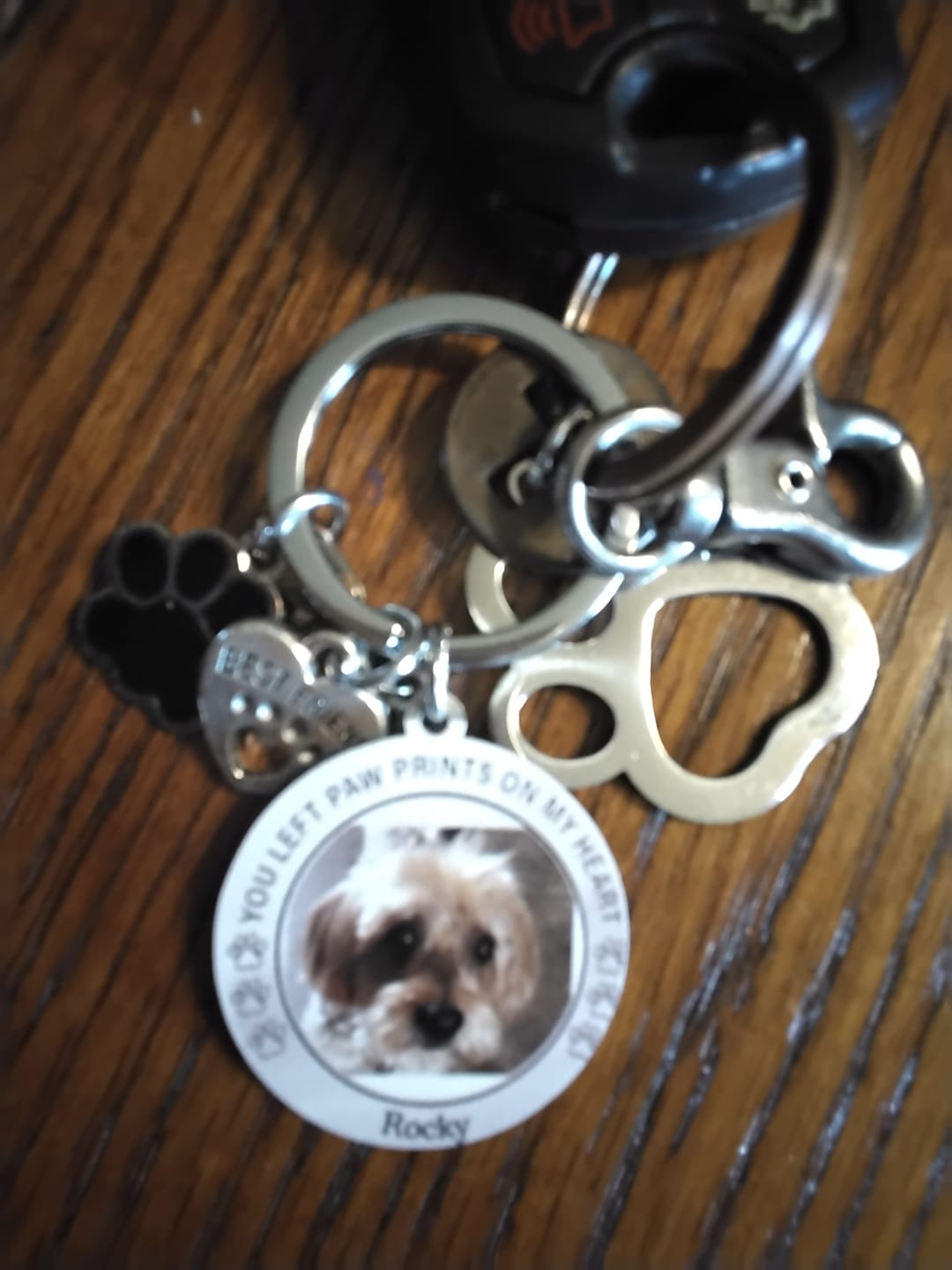 Customer photo review of Custom Personalized Photo Keychain Pet Charm Key Ornaments - Memorial Gift for Dog/Cat Lovers - You left paw prints on my heart