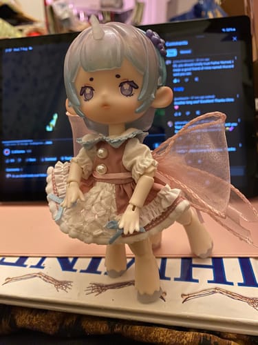 Customer photo review of Antu Dreamlike Tea Party Daydream Limited Action Figure BJD Blind Box