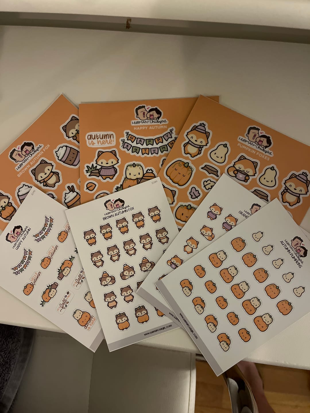 Customer photo review of Autumn Foxes Sticker Set