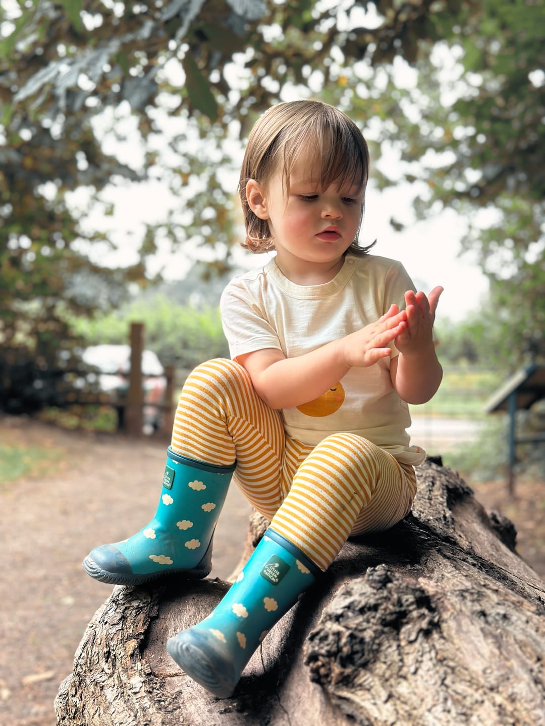 Customer photo review of Blue Clouds Classic Wellington Fair Rubber Natural Waterproof Boots