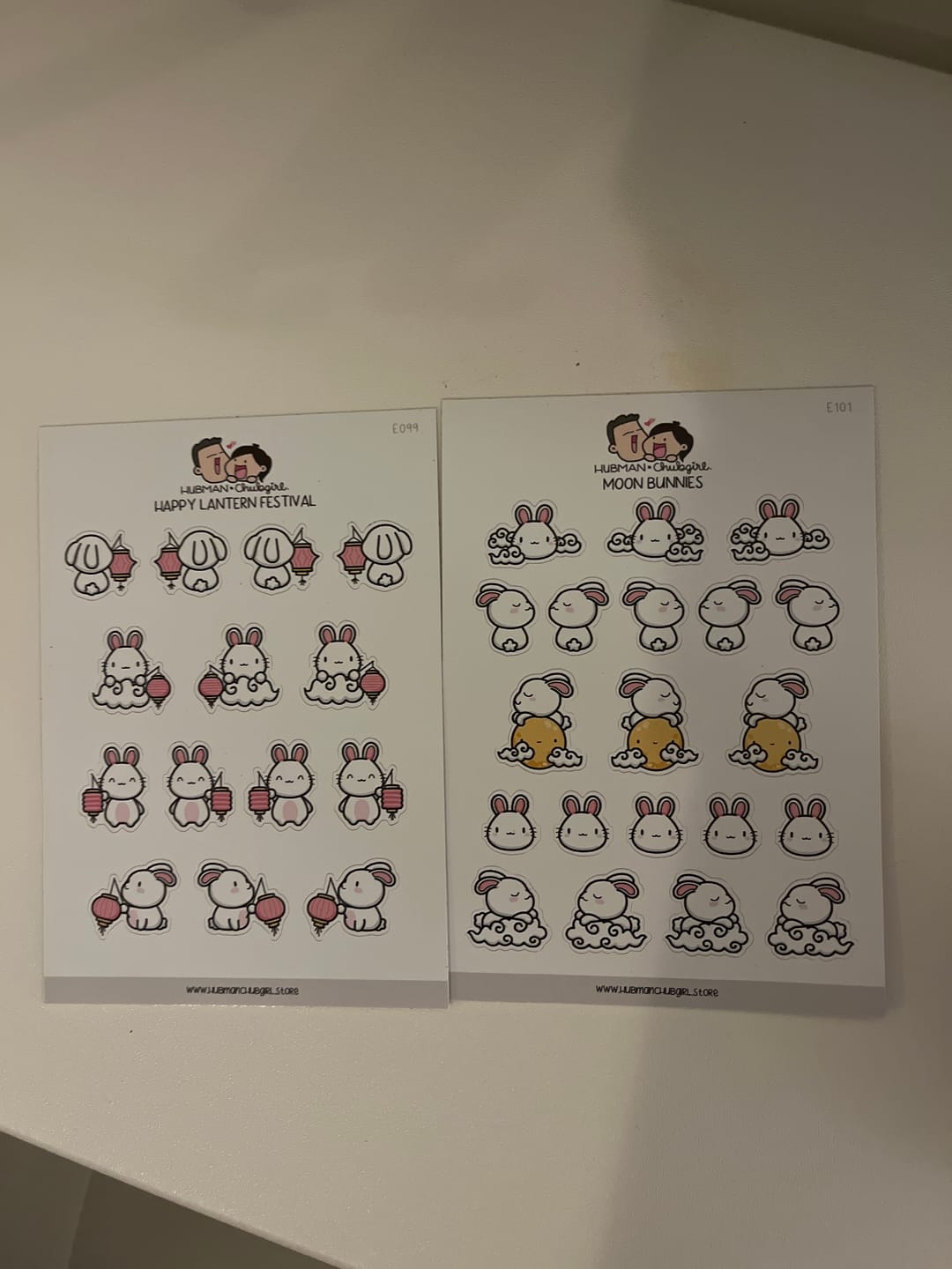 Customer photo review of Moon Bunnies Planner Stickers