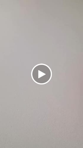 Customer video review of Yakushima Kuritawase Shincha