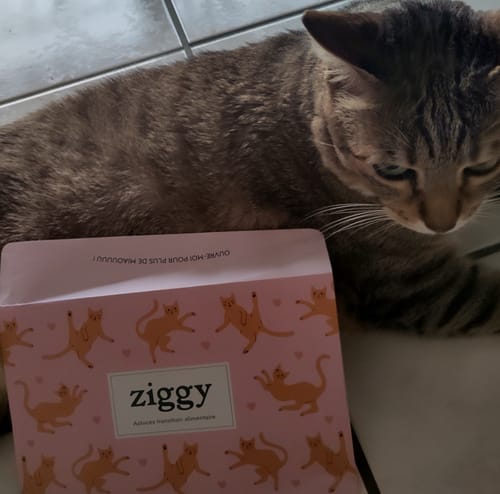 Avis photo d'un client sur Croquettes Chat Stérilisé Sans Céréales - Poulet