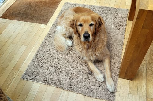 Customer photo review of Premium - CleanyMat