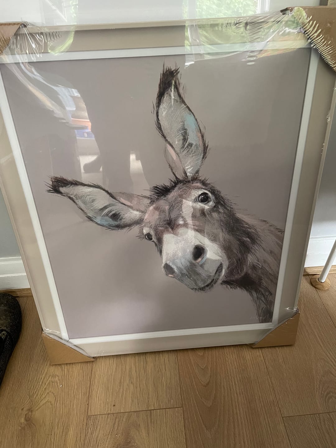 Customer photo review of Reggie By Adelene Fletcher