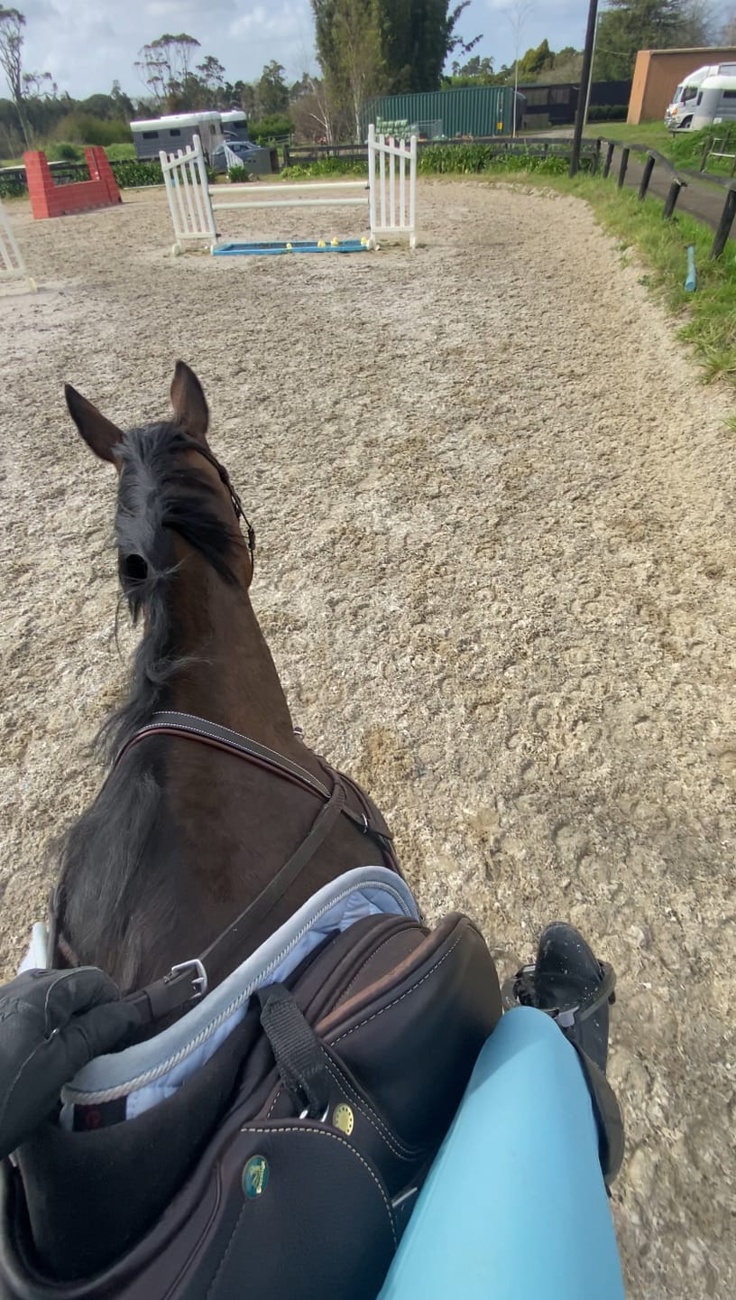 Customer photo review of Riding Tights - Acqua
