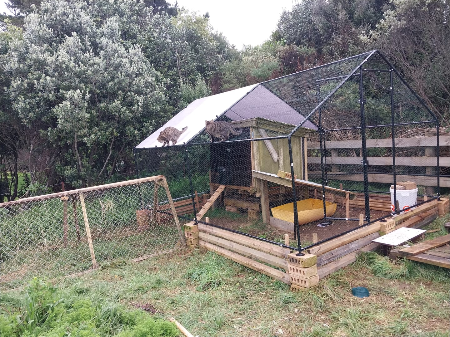 Customer photo review of Outdoor Chicken Run With One Cover - 300x400x200cm, Upgraded Frame for Extended Durability