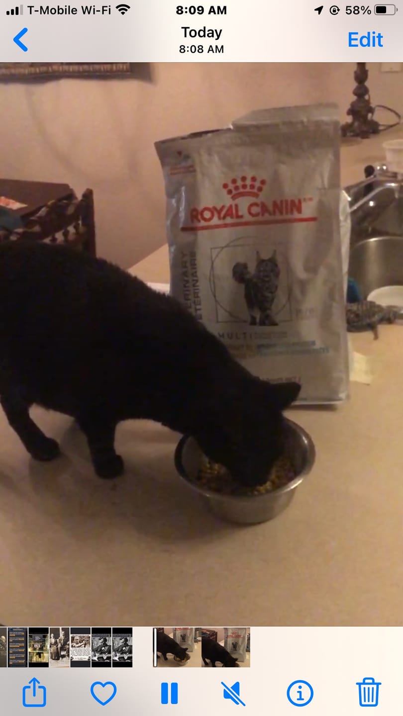 Customer photo review of Royal Canin Veterinary Diet - Urinary SO + Hydrolyzed Protein Dry Cat Food