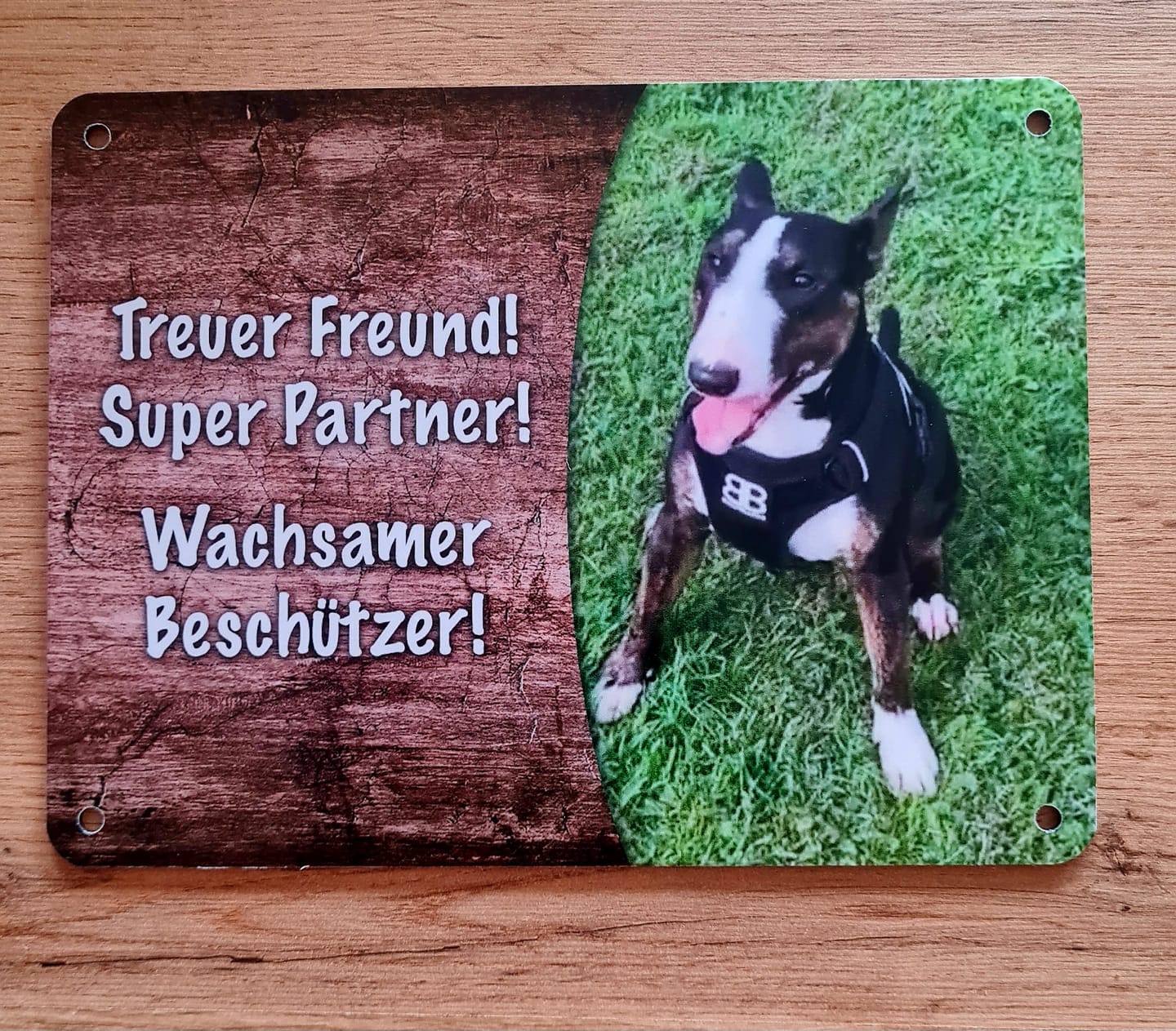 Customer photo review of Hunde-Türschild mit Foto & Wunschtext (UV- UND WETTERFEST) - Angebot beim Kauf eines 2. Schildes
