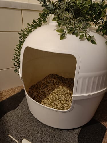 Customer photo review of Naturreines Katzenstreu