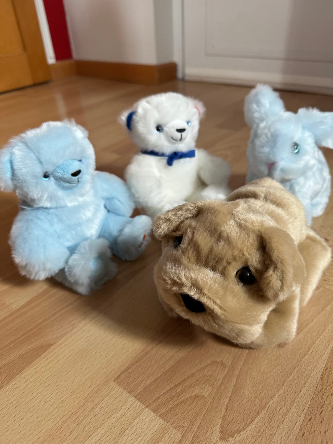 Customer photo review of Ma peluche Chien Hector