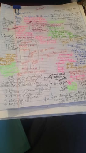 Customer photo review of NCLEX PREP LIVE ONLINE COURSE - JULY 2024 - ID: 070824