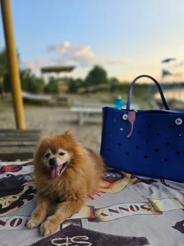 Customer photo review of Beacher® Tote Bag