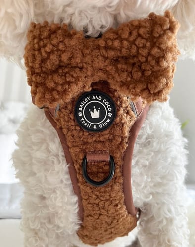 Customer photo review of Trail & Glow® Dog Harness - Teddy Bear