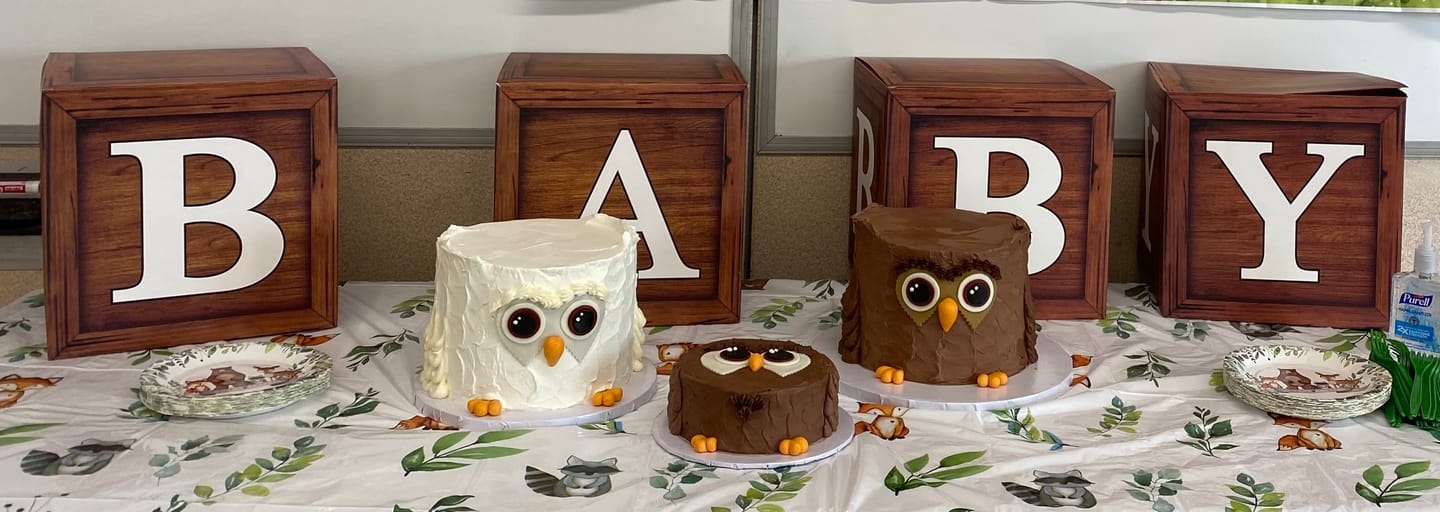 Customer photo review of Owl Cake