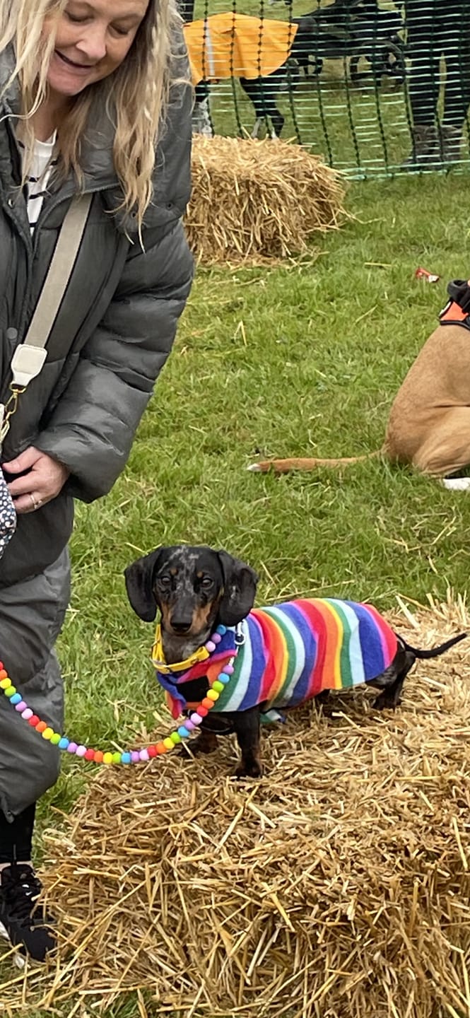 Customer photo review of Rainbow Lead