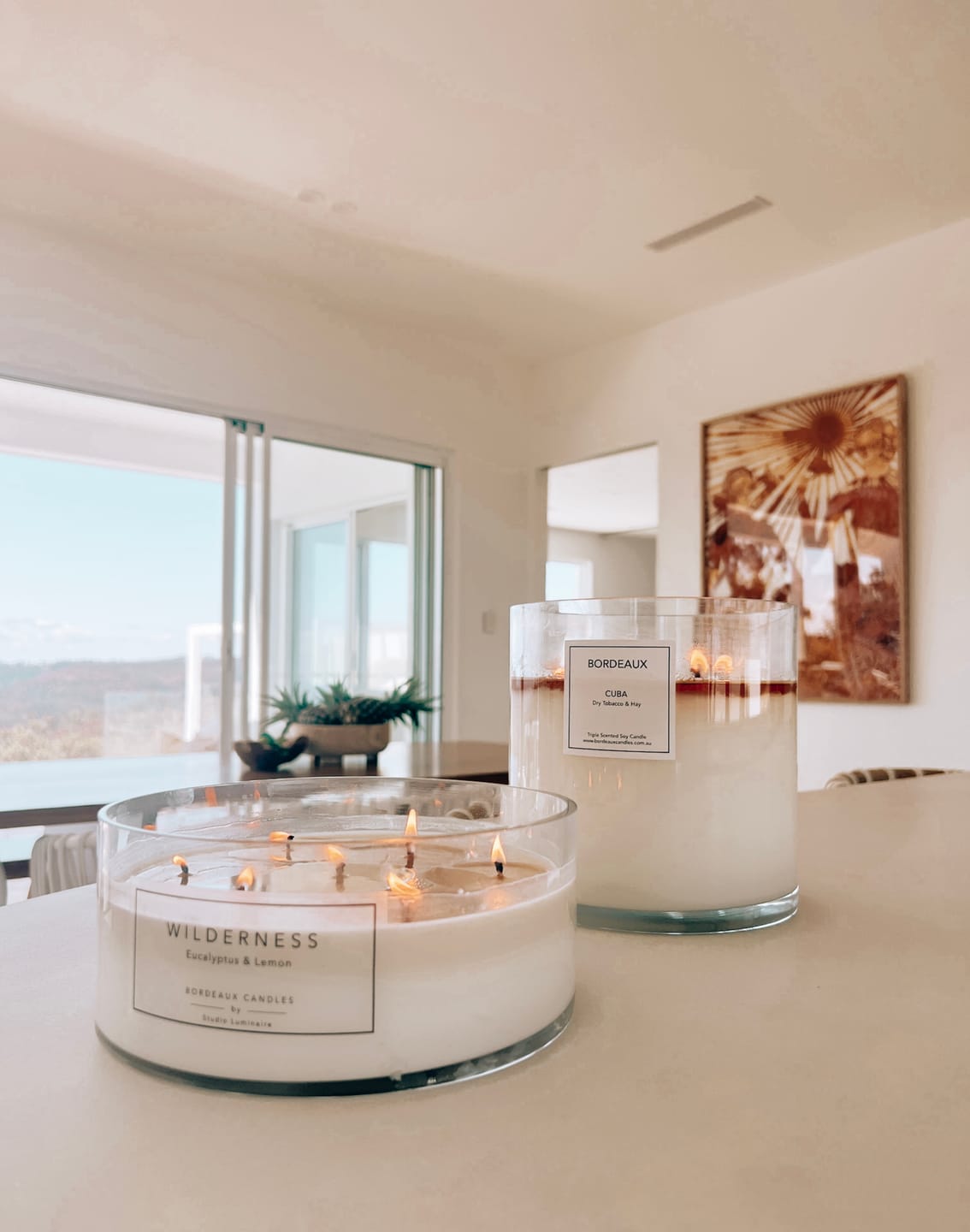 Customer photo review of WILDERNESS - Large Outdoor Candle - Eucalyptus & Lemon