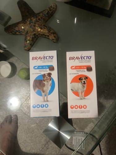 Customer photo review of Bravecto®