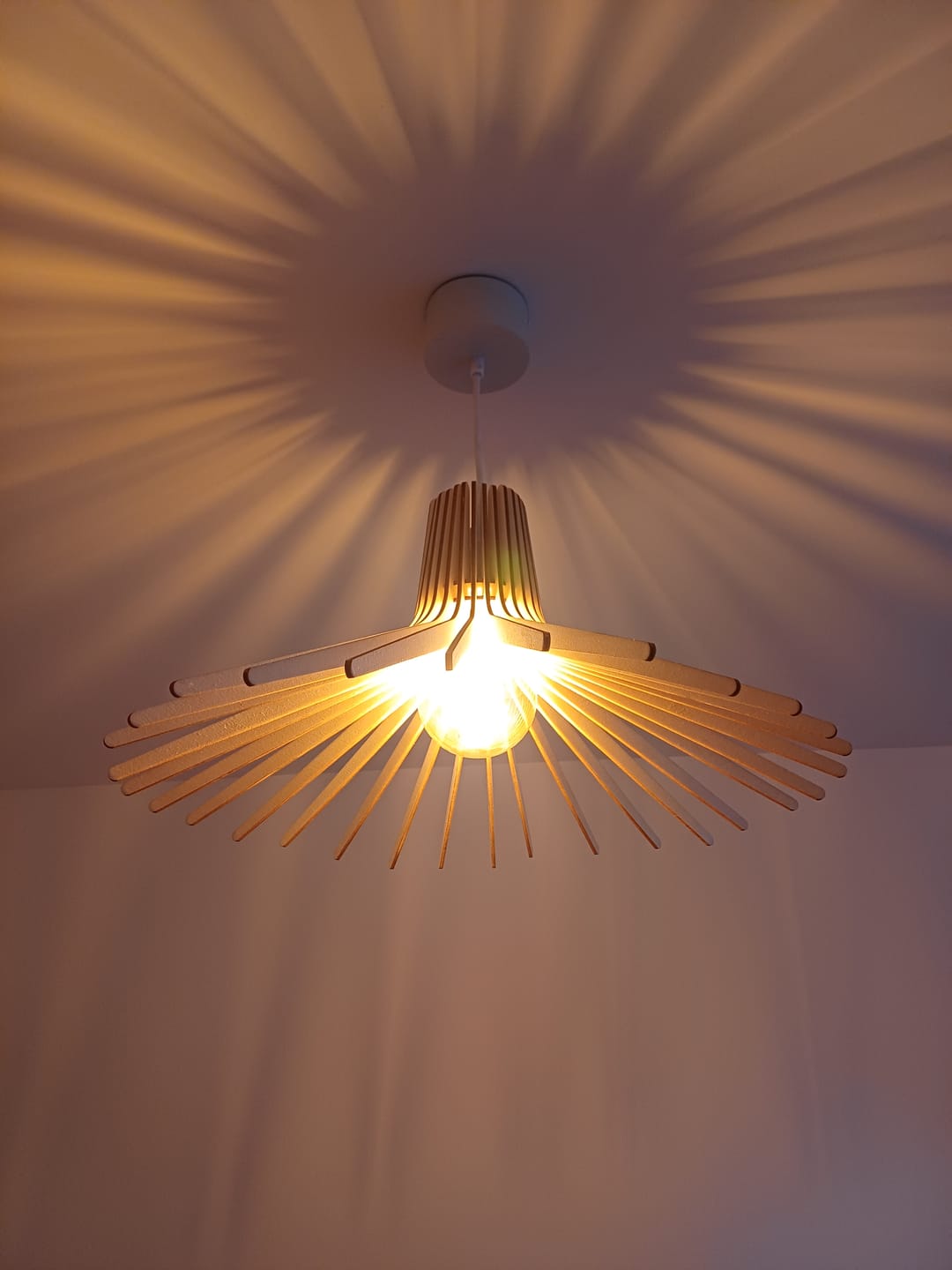 Customer photo review of Azur | Suspension