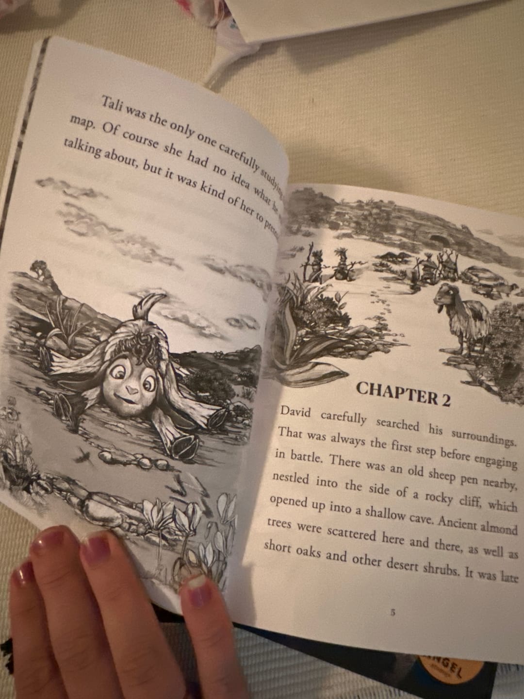 Customer photo review of YOUNG DAVID: Shepherd Chapter Book