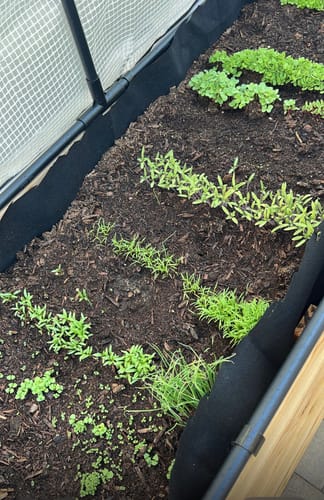 Customer photo review of Platform Feet