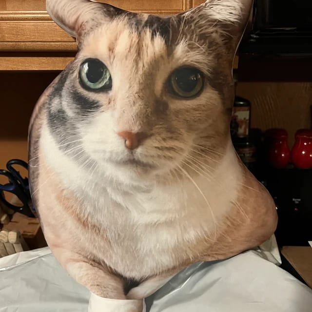Customer photo review of Custom Pet Pillow