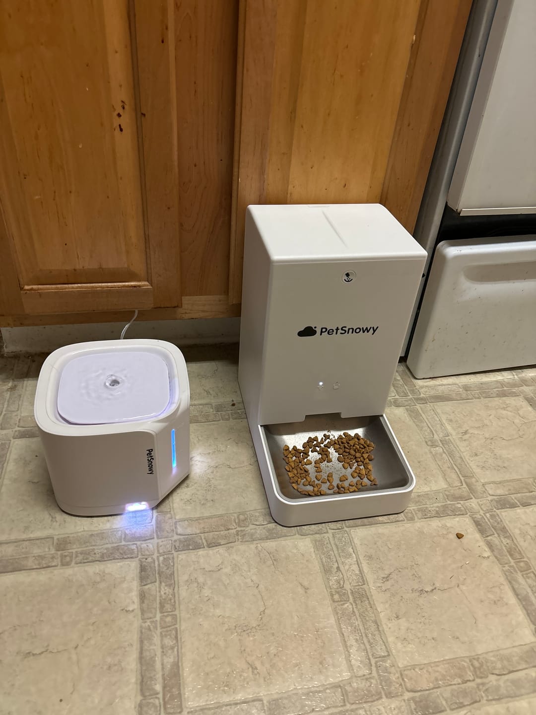 Customer photo review of Automatic Pet Feeder