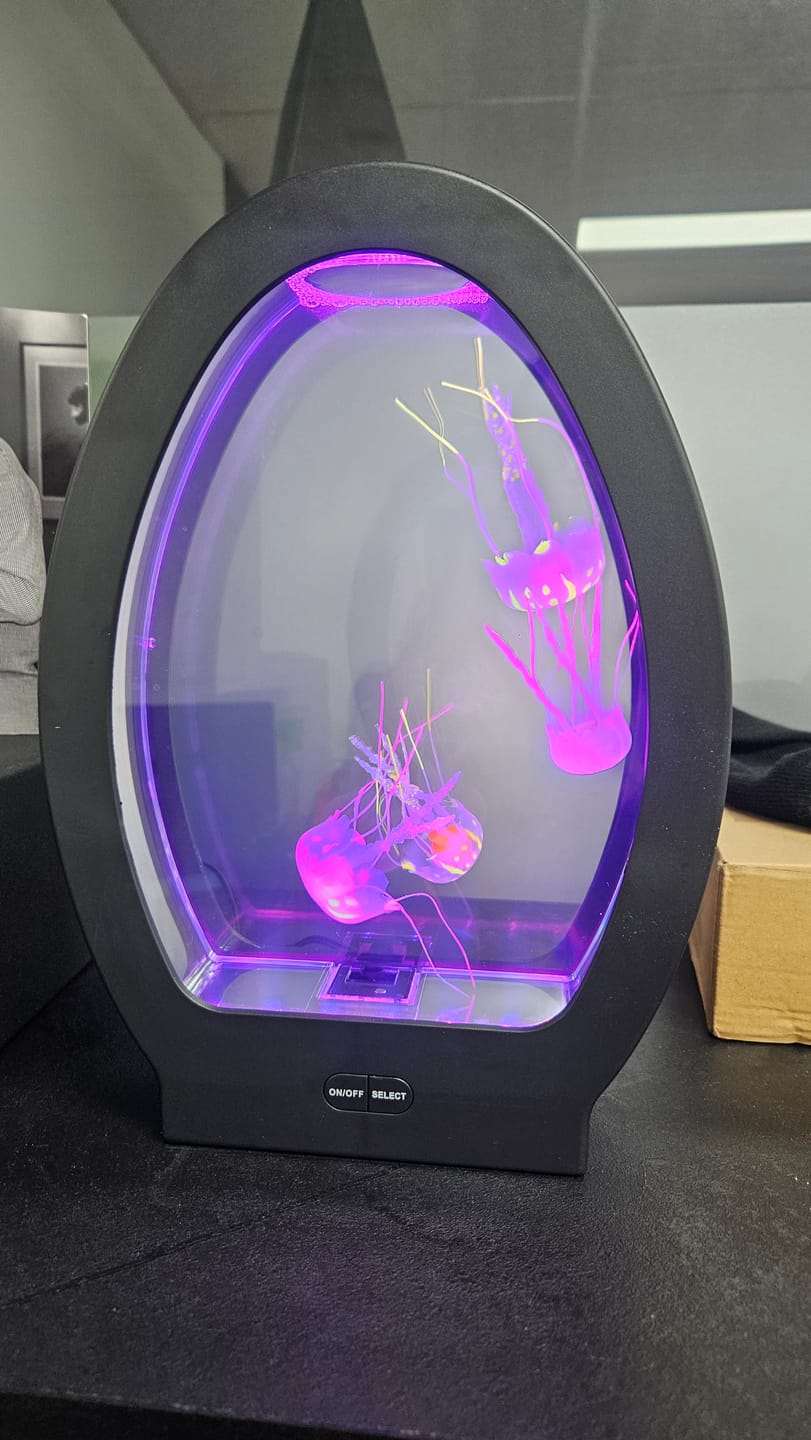 Customer photo review of Sensory Arched Jellyfish Aquarium