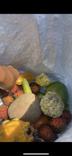 Customer photo review of Tropical Variety Box