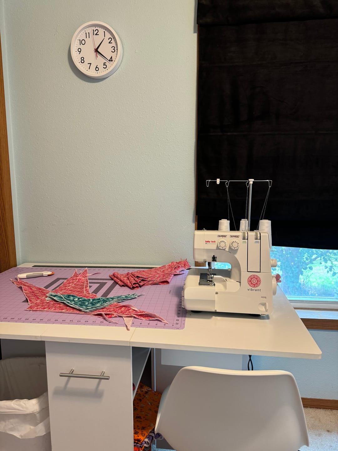 Customer photo review of Baby Lock Vibrant Serger with FREE Bundle