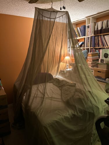 Customer photo review of FaradayLabz™ Silver EMF Protection Bed Canopy