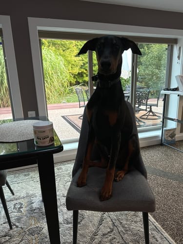 Customer photo review of FurLife™ - Flea & Tick Defense Chews