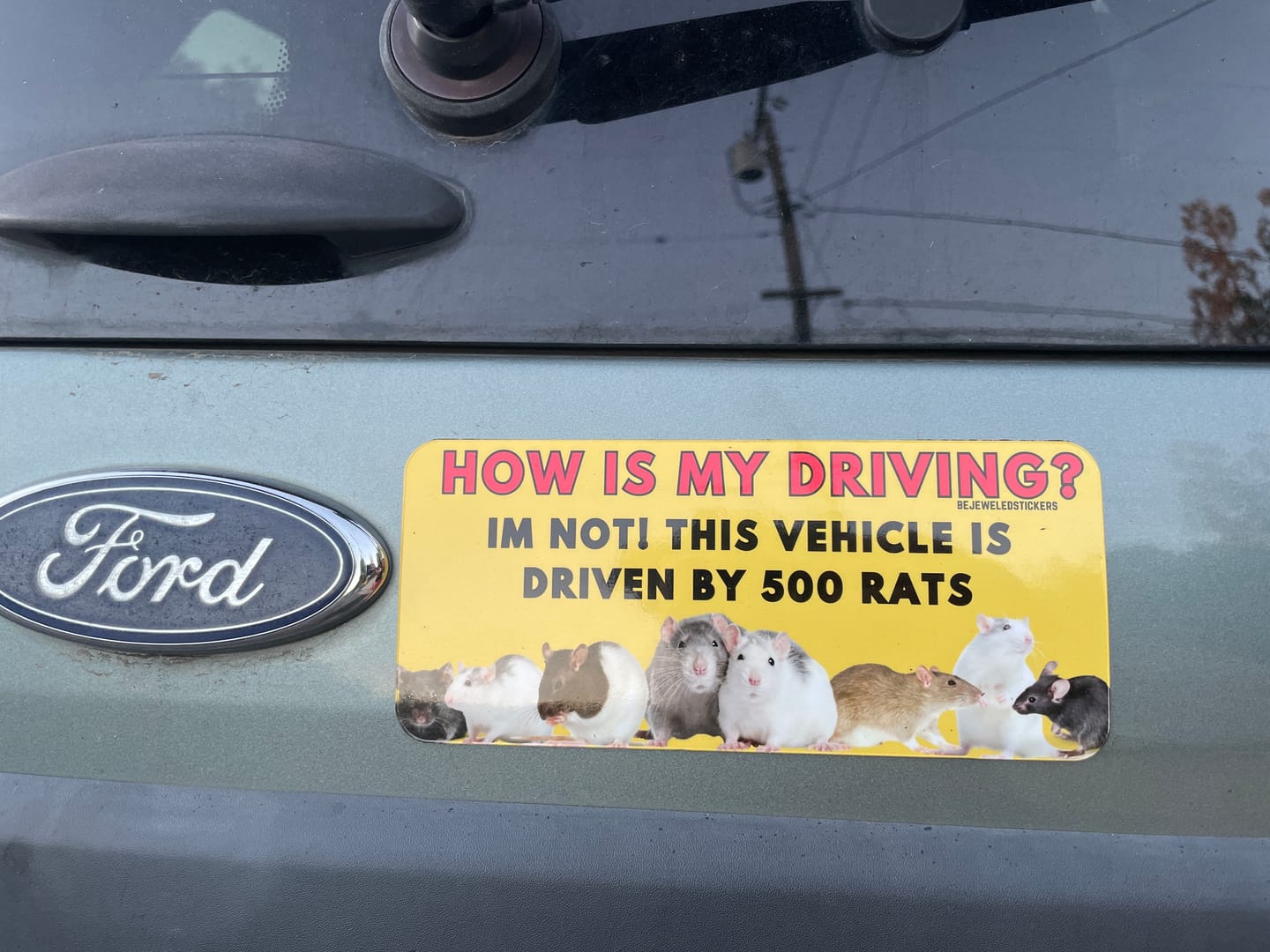 Customer photo review of This Car Runs On Dr Pepper