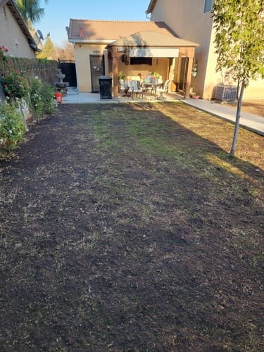 Customer photo review of GCI Turf Spreader Elite Grass Seed