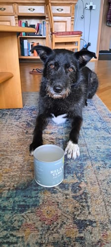 Customer photo review of Relax Time