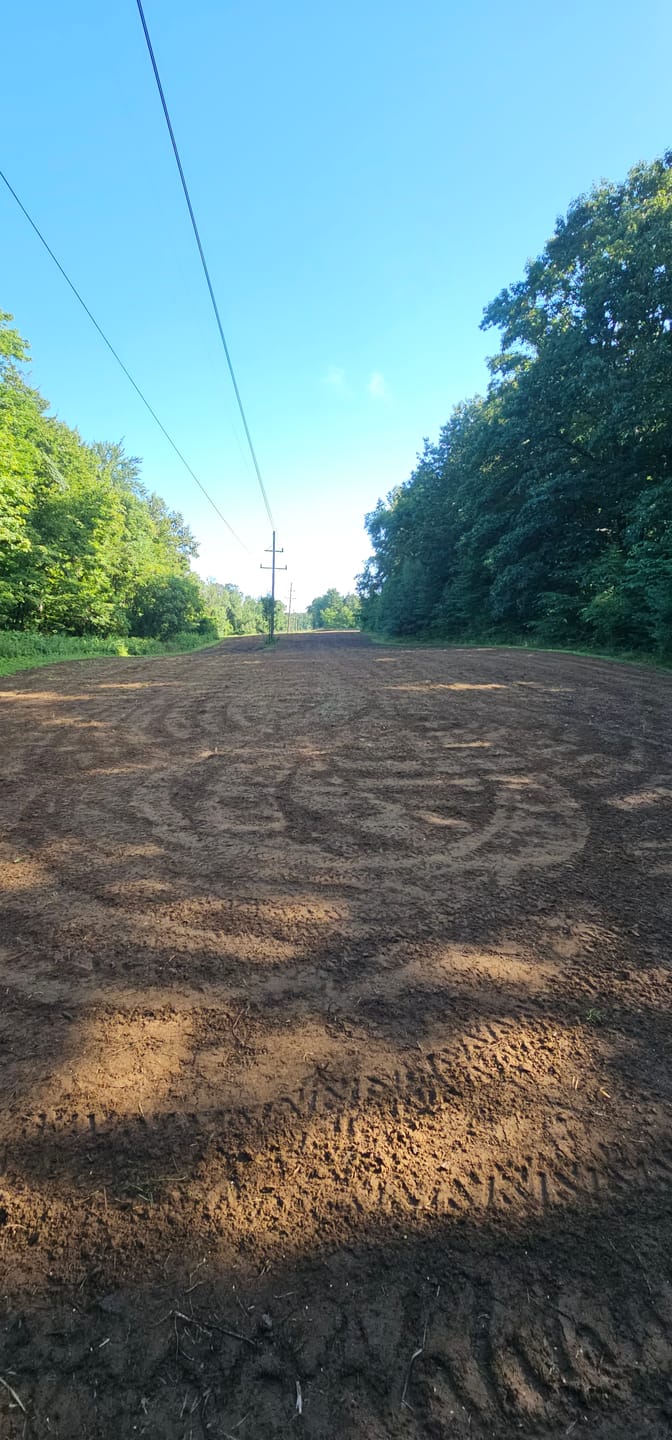 Customer photo review of Brassica Food Plot Seed Mix