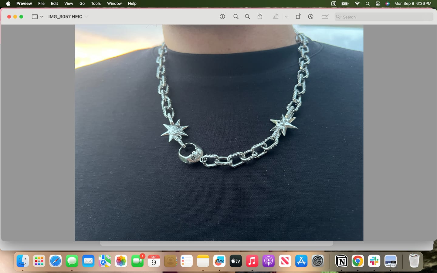 Customer photo review of ASTROLOGY CHOKER