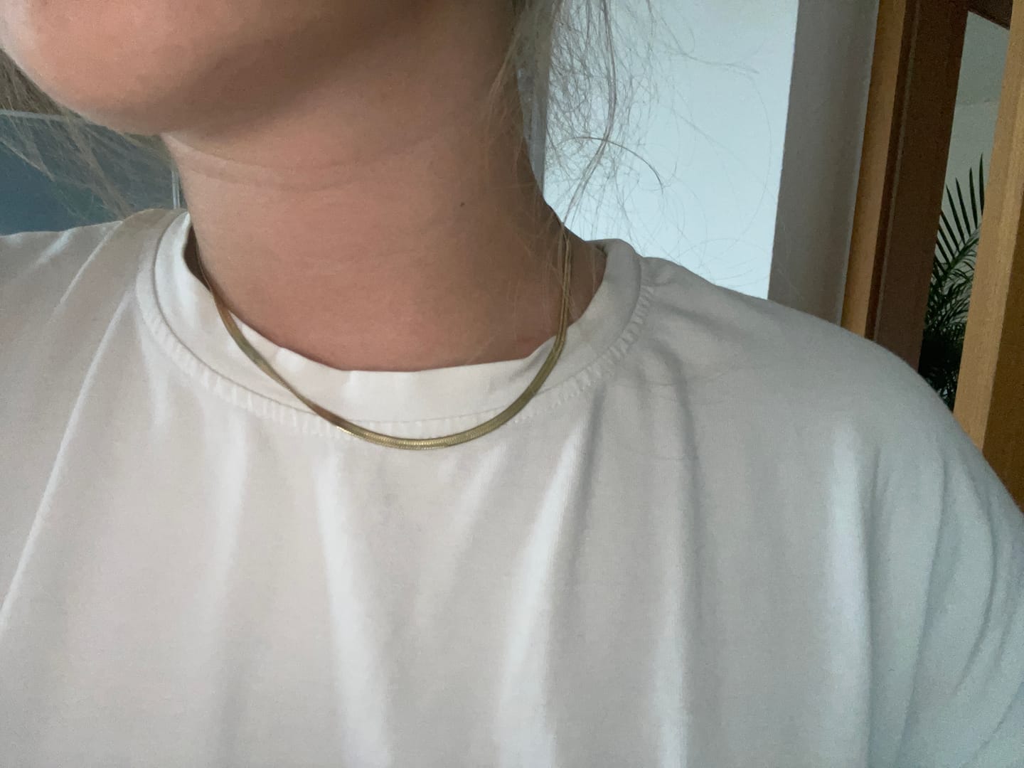 Customer photo review of Hi-Life Sleek Kette