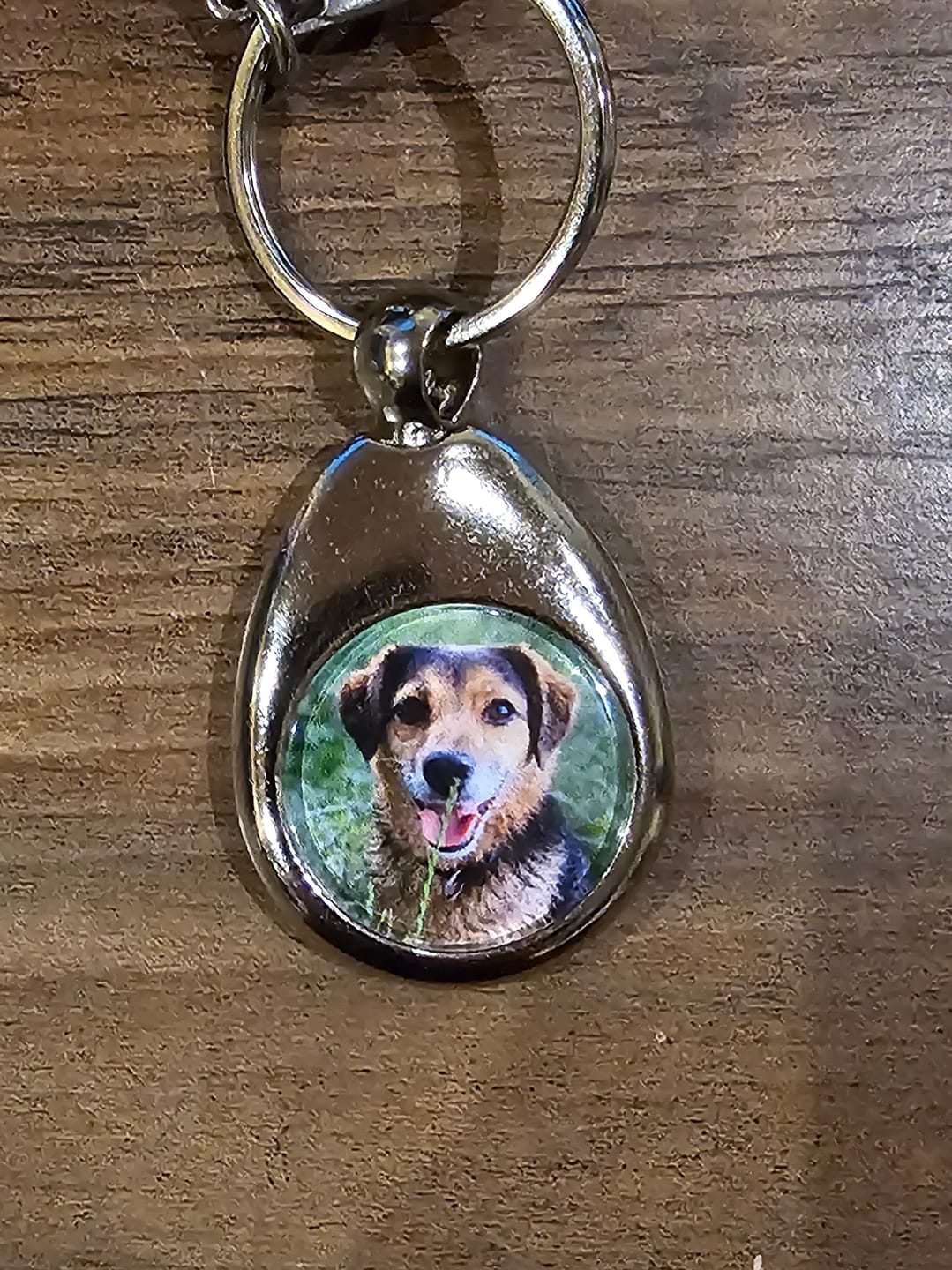 Customer photo review of Schlüsselanhänger mit Hundefoto