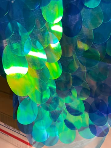 Customer photo review of Blue Green Big Dot Large Paillette Sequin on Mesh Fabric